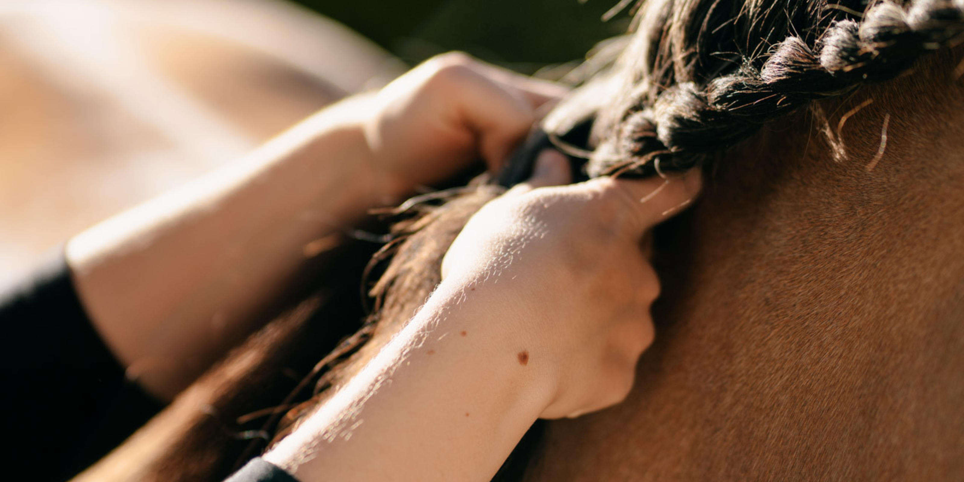 Mähne- und Schweifpflege beim Pferd