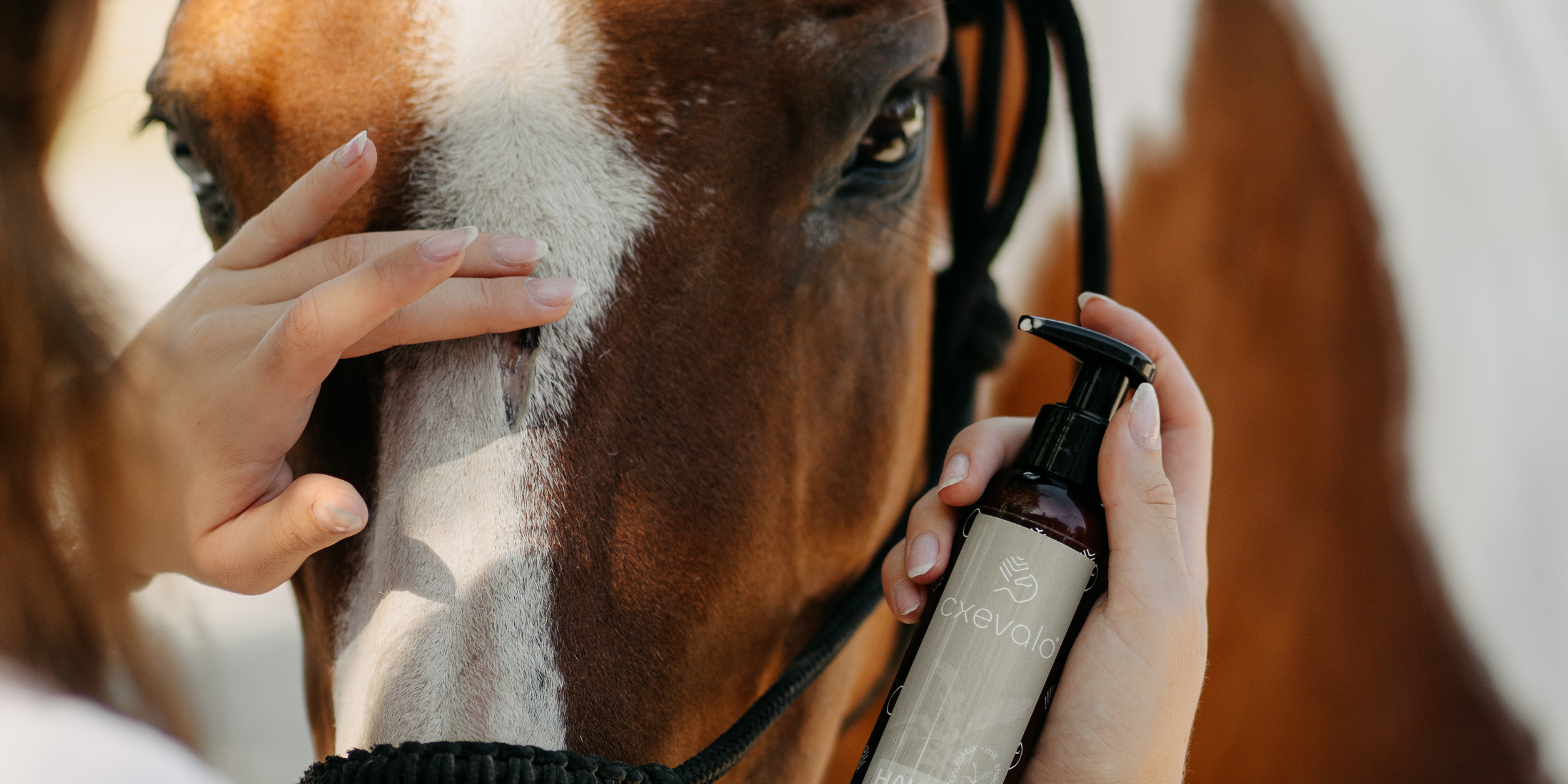 Wie natürliche Hautpflege Pferdehaut sichtbar unterstützt – Ein Experteninterview