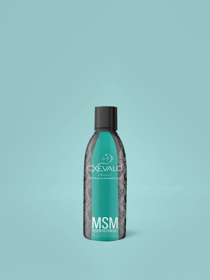 MSM Regeneration Gel - Healthy tendons, ligaments, muscles and joints thanks to organic sulphur and devil's claw!