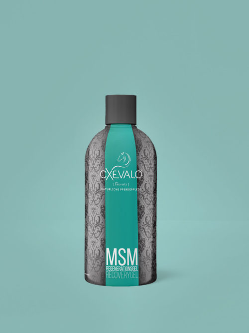 MSM Regeneration Gel - Healthy tendons, ligaments, muscles and joints thanks to organic sulphur and devil's claw!