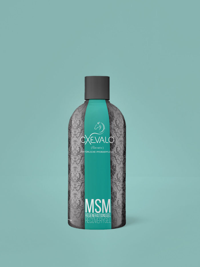MSM gel rigenerante con artiglio di diavolo 500 ml