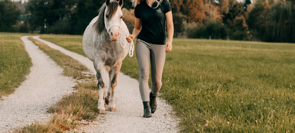 Nisi und ihre Sweethome Ponys haben ein CXEVALO Lieblingsprodukt
