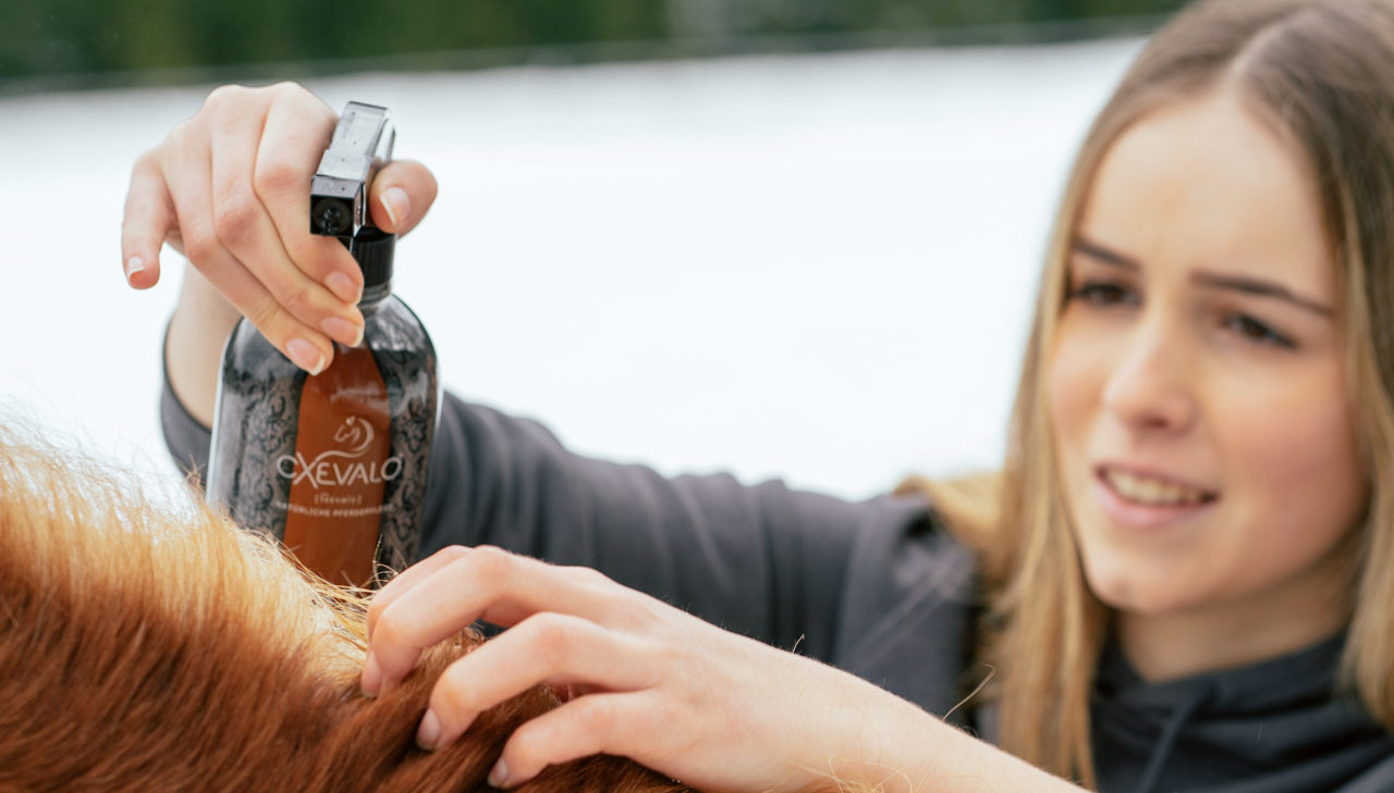 Kuranwendung CXEVALO Fellpflegespray