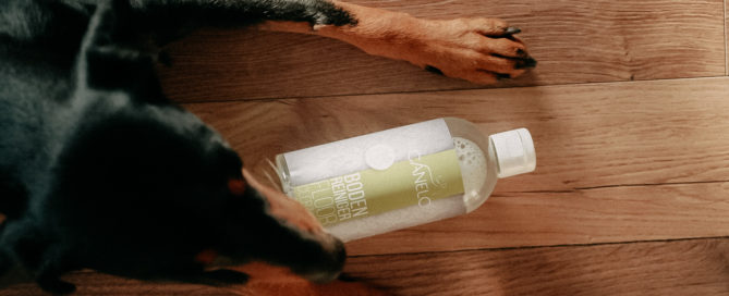 Fly mit dem Bodenreiniger für Hundehaushalte