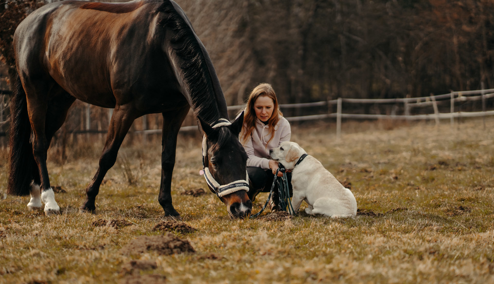 Yvonne mit Pferd und Hund