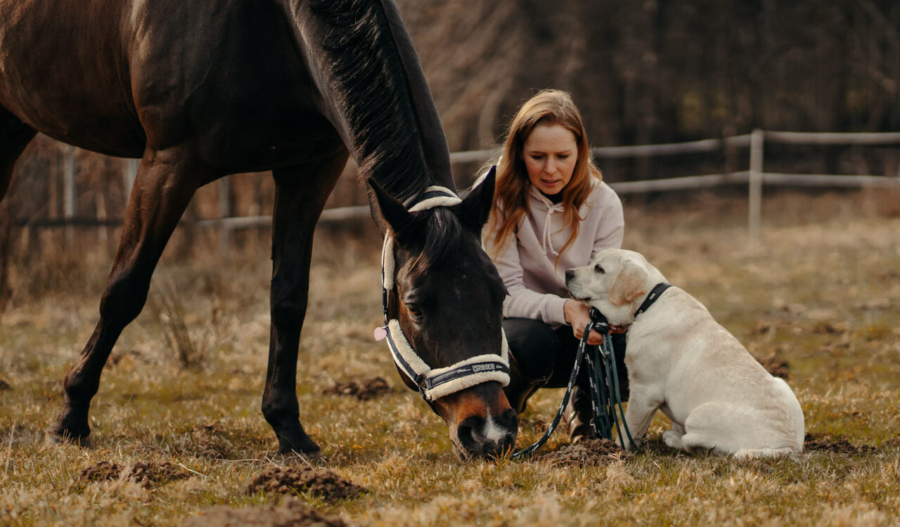 Yvonne mit Pferd und Hund