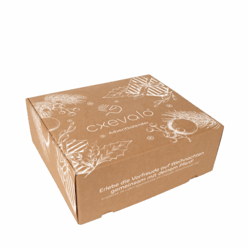 CXEVALO Adventkalender 2025