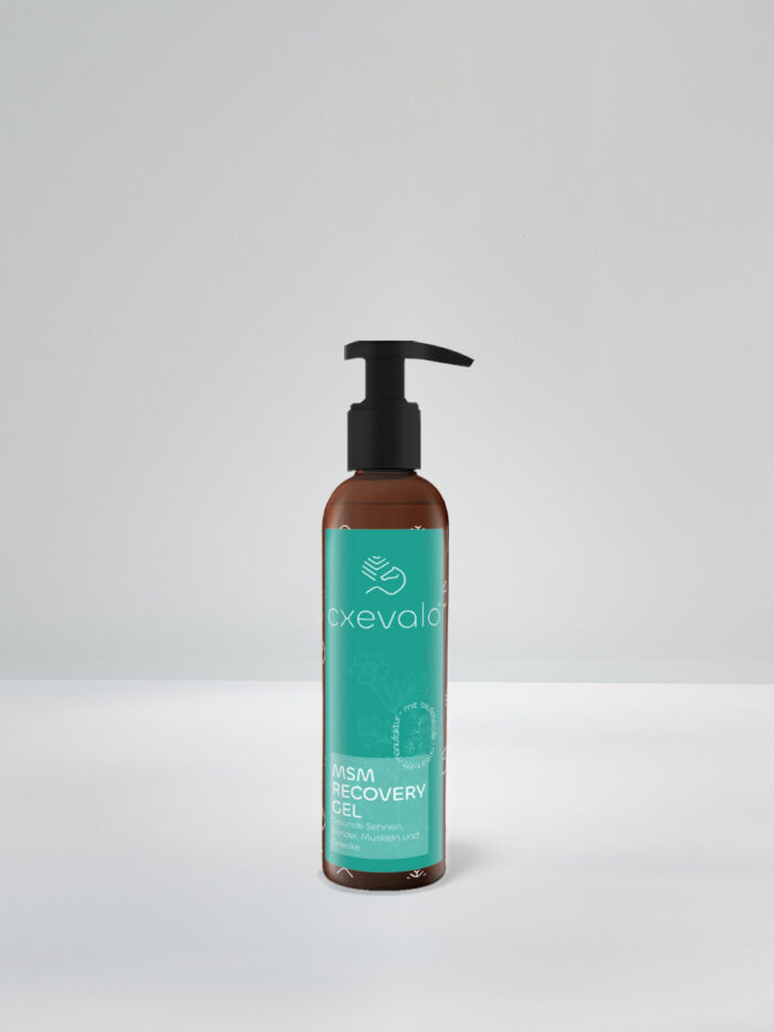 MSM Regenerationsgel mit Teufelskralle 150ml