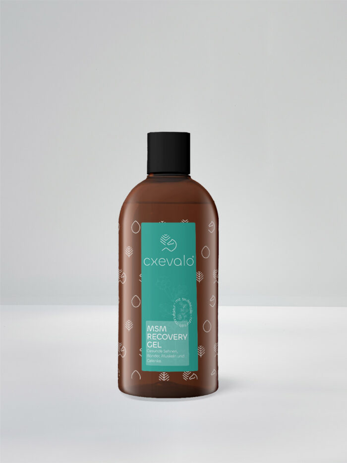 MSM Regenerationsgel mit Teufelskralle 500ml