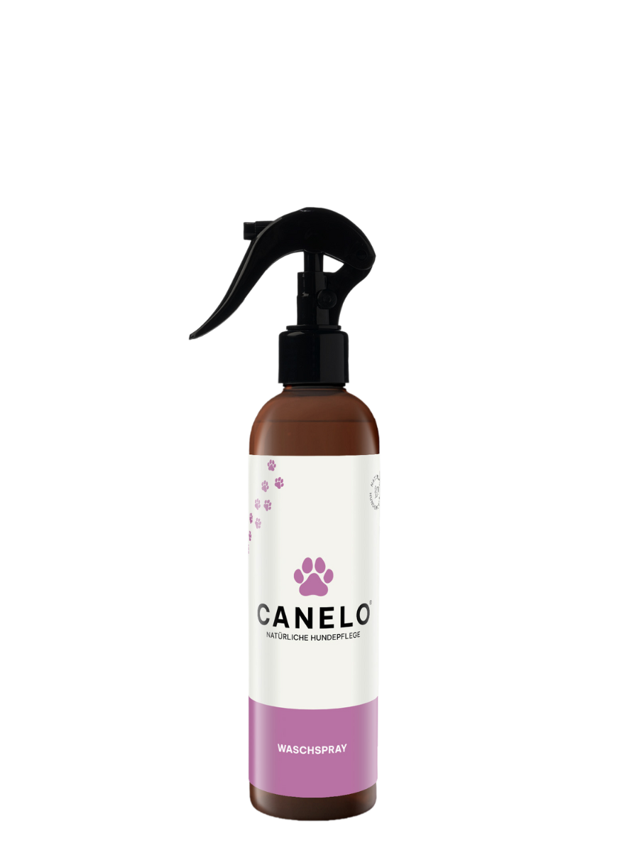 CANELO Waschspray für Hunde