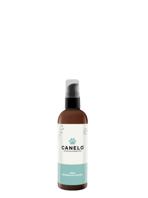 CANELO MSM Regenerationsgel 100ml
