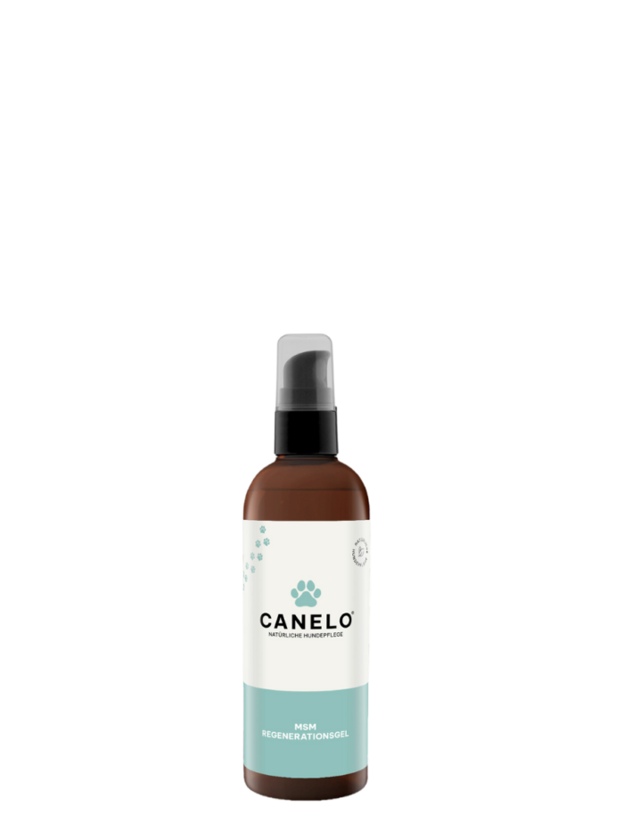 CANELO MSM Regenerationsgel 100ml