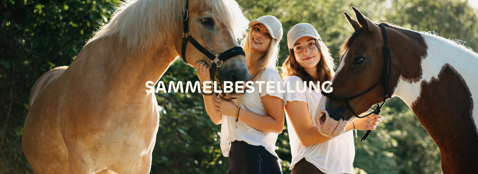 Du liebst die natürliche Pferdepflege von CXEVALO und möchtest gemeinsam mit deinen Stallkollegen davon profitieren? Dann haben wir die perfekte Möglichkeit für dich: Unsere Sammelbestellung für Stallgemeinschaften! So spart ihr nicht nur Geld, sondern genießt auch unseren persönlichen Kundenservice.