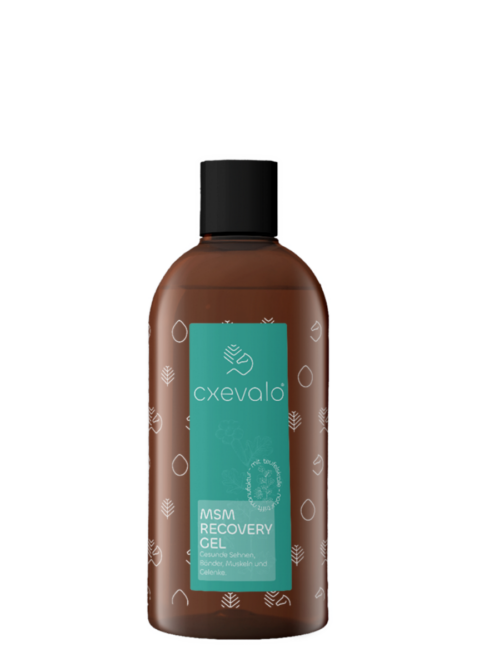 CXEVALO MSM Regenerationsgel 500ml