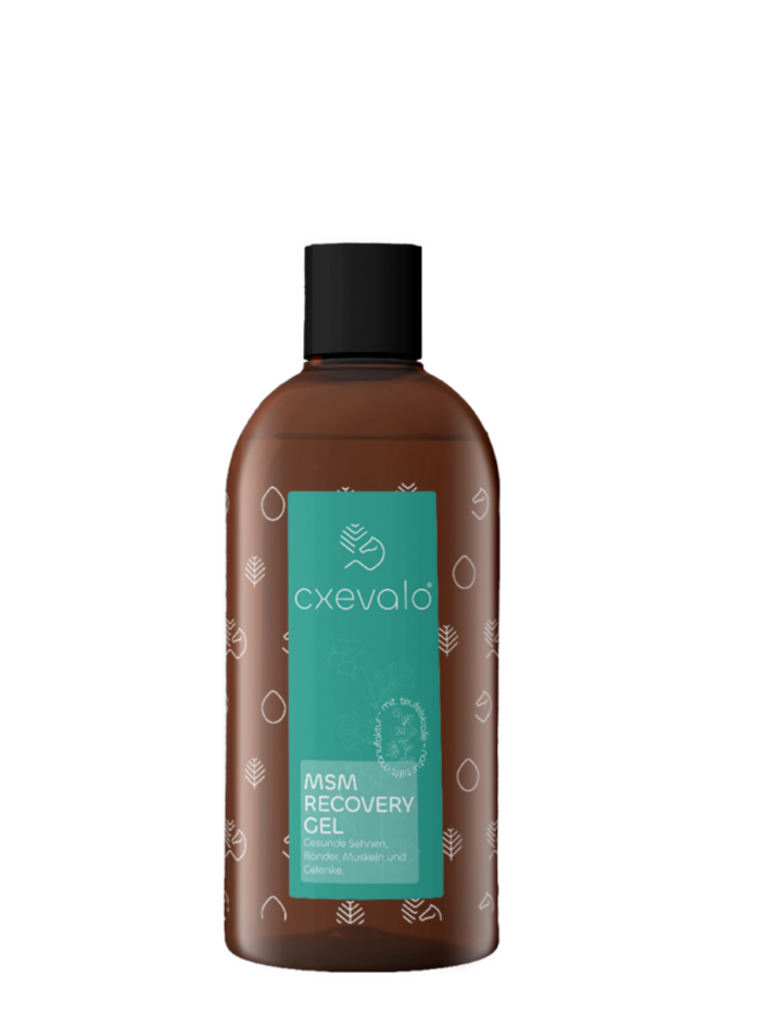 CXEVALO MSM Regenerationsgel 500ml