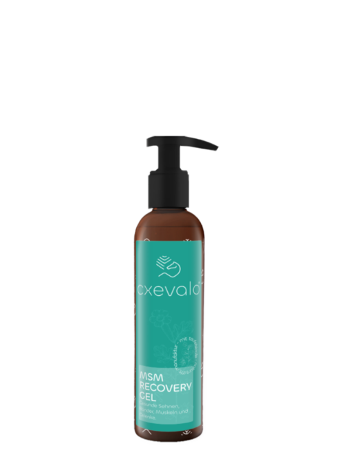 CXEVALO MSM Regenerationsgel 150ml