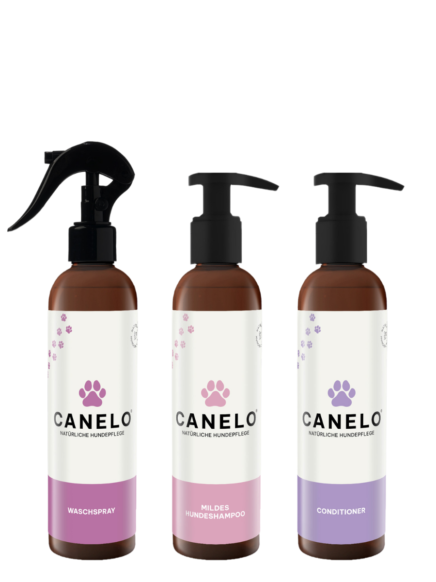 CANELO Waschspray, CANELO Mildes Hundeshampoo, CANELO Conditioner