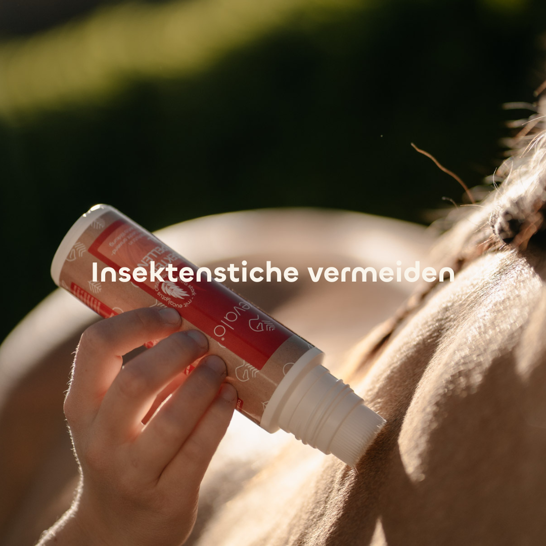 Insektenstiche vermeiden mit dem CXEVALO Repellent Gel
