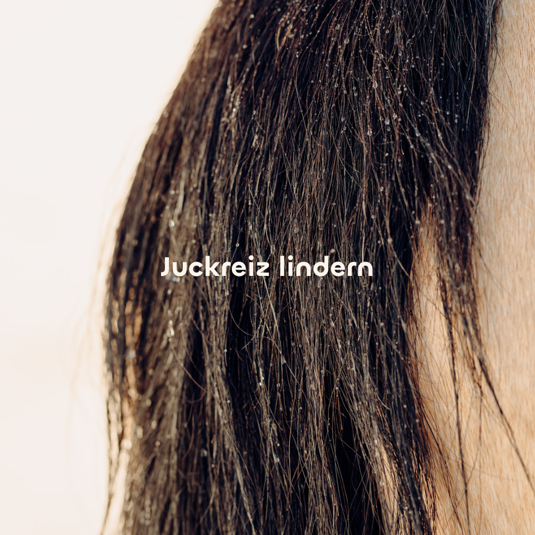 Juckreiz lindern: mit dem CXEVALO Kühlshampoo für Pferde