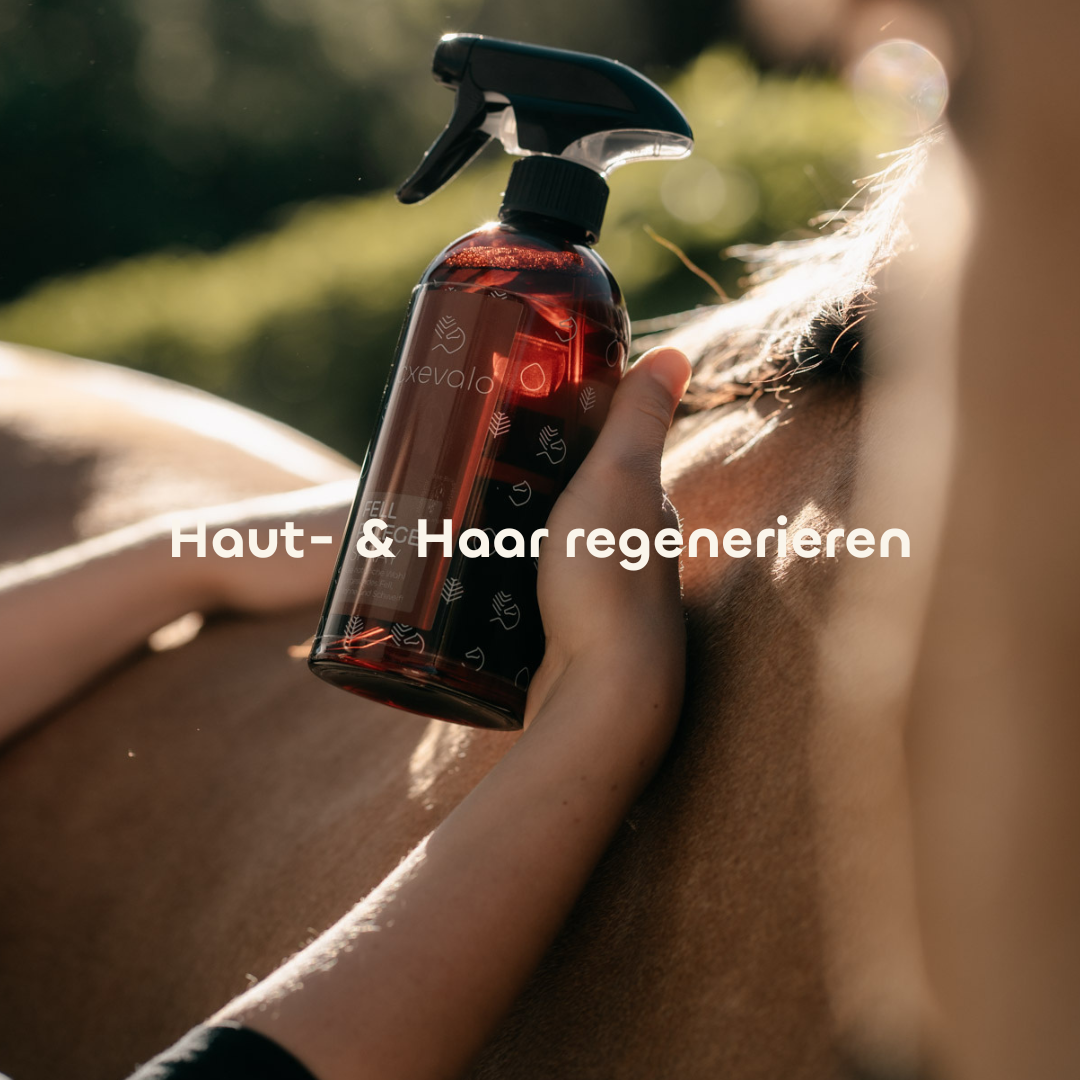 Haut- und Haar regenerieren mit dem CXEVALO Fellpflegespray für Pferde
