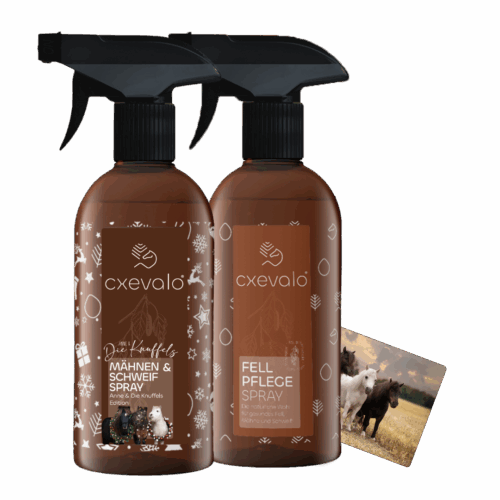 Knuffels Weihnachtsbox