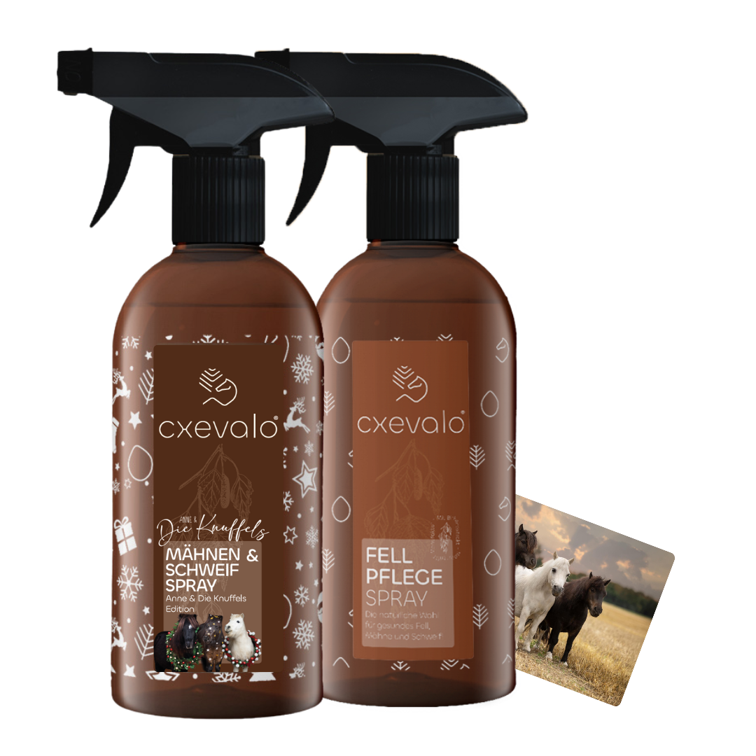 Knuffels Weihnachtsbox